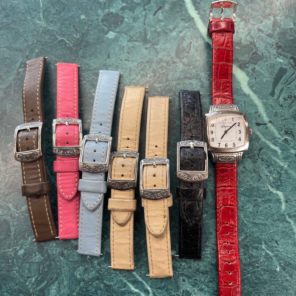 Brighton Watch
